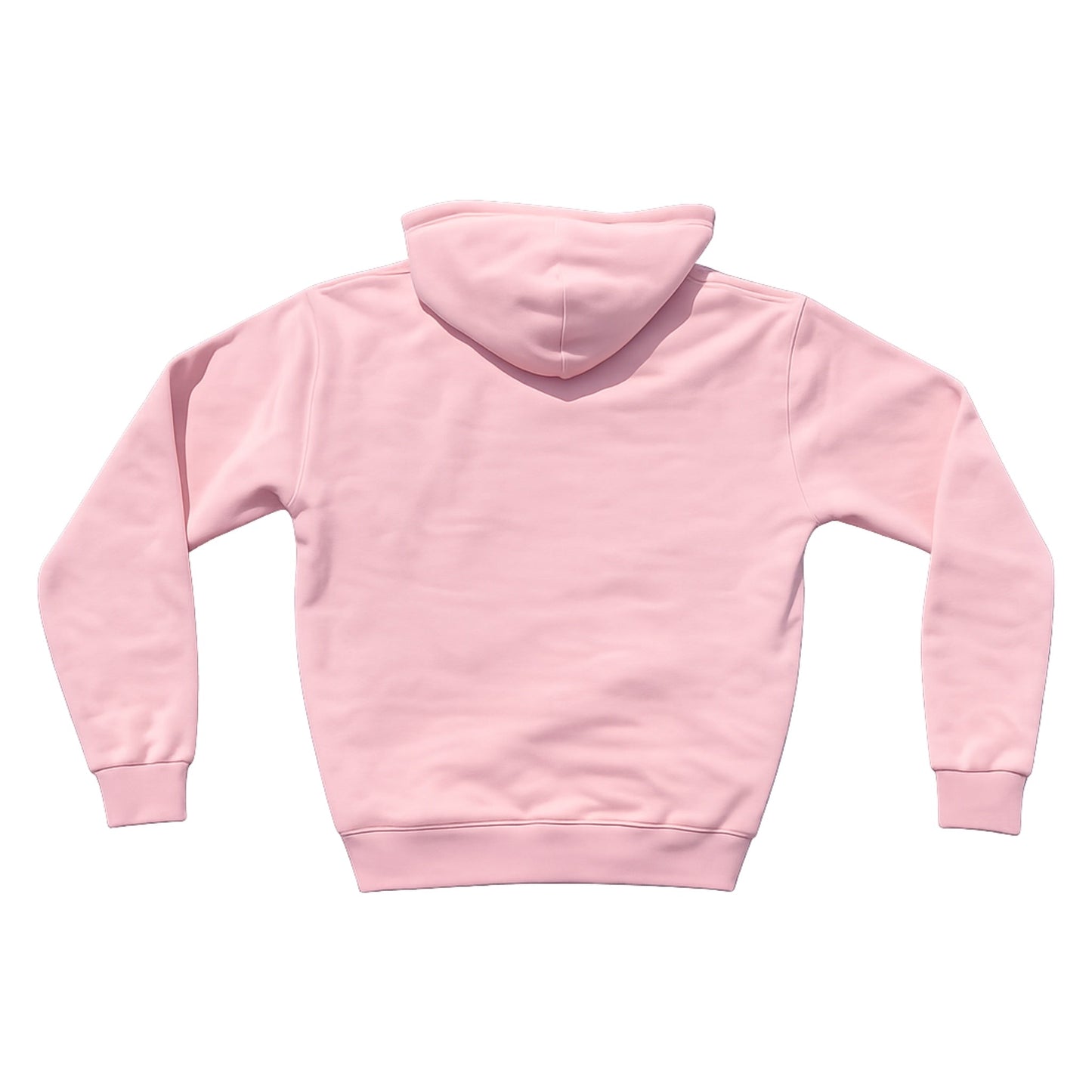 PINK BRAZIL CLOUD hoodie